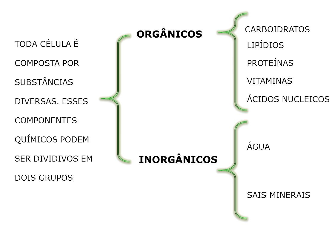 Resumo de Água e Sais Minerais, image size:1122x797