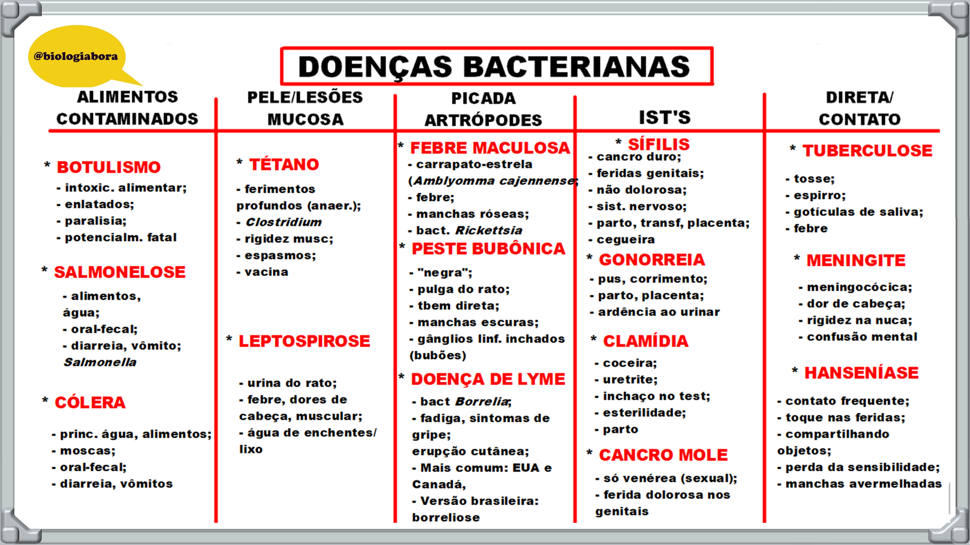 Resumo de Reino Monera e Bacterioses