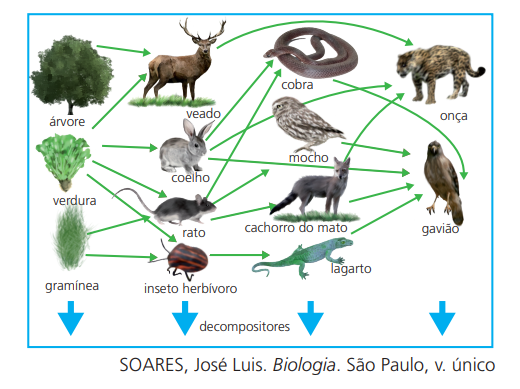 Interacoes Entre Os Seres Vivos